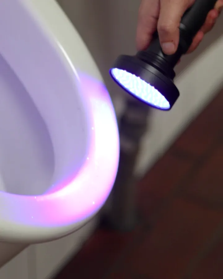 UV-Lampe über einem Urinal, die Keramik leuchtet im UV-Licht violett